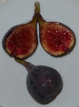 Bisirri #2 Fig, Ficus carica 'Bisirri #2'